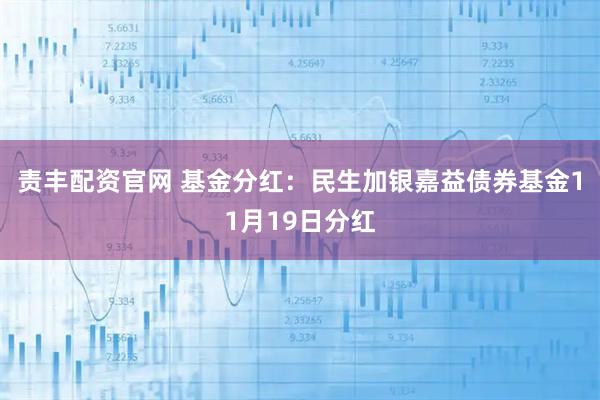责丰配资官网 基金分红:民生加银嘉益债券基金11月19日分红
