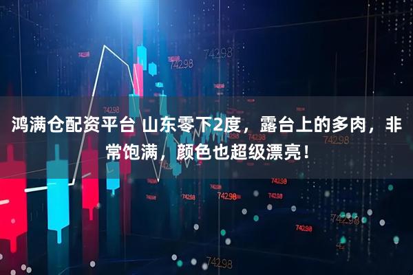 鸿满仓配资平台 山东零下2度，露台上的多肉，非常饱满，颜色也超级漂亮！